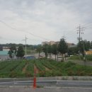 시곡경로당 이미지