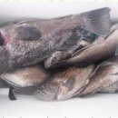 동양낚시 이미지