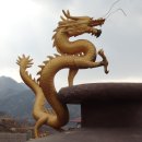 황룡 이미지