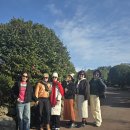 동창카서비스 | 제주 콜밴 대형택시 투어 예약했어요~ 6명 동창 여행 찐후기!