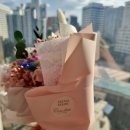 컨브리오 이미지