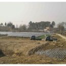 망성면사무소 이미지