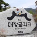 태정카 네이버블로그