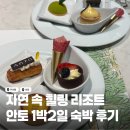 안토 1박2일 숙박후기(룸컨디션, 우디플레이트 조식, 디너, 자쿠지, 인근 카페)