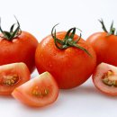건강에 좋다는 토마토마저… ‘여기’ 보관하면 효과 떨어져 이미지