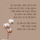 Hound dog, born to be wild, 이미지