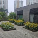 노인정 옆 이미지