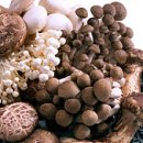 금오영농조합법인 이미지