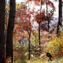 가운 중앙공원 이미지