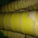 오월농장 이미지