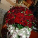 플로리스트(B) 이미지