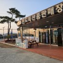 남파랑길 88코스 이미지