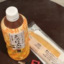오키나와키친 | [오키나와] 더 키친 호스텔 AO 도미토리룸 후기