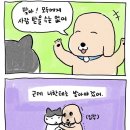 니가 웃으면.. 세상이 훤하오..