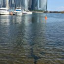 요트경기장내 공영주차장 이미지