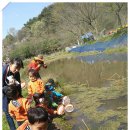 내북초교 병설유치원 이미지