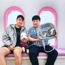 소풍동물병원 이미지