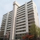 안양-안양-안양-503 네이버블로그