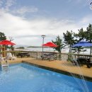 두바다찬솔 이미지