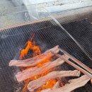 로그하우스 이미지