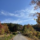 선황사 등산로 | [등산후기] 사천 이구산(370m) 늦가을 등산