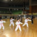 화랑체육관(태권도) 이미지