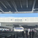 E-011 | 오사카 간사이공항에서 난바역 라피트 후기 예약방법 타는곳 좌석 추천