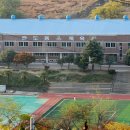 완도중학교 이미지