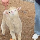 진광목장 이미지