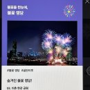 용산-이촌-183 | 한화와 함께하는 2024서울세계불꽃축제 기본정보 | 이촌한강공원 숨겨진 명당자리 추천