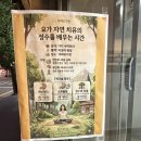 장수요가원 | 대전 서구 괴정동 서뗘요가원 내돈내산 추천