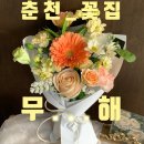 [춘천] 무인픽업 가능한 온의동 꽃집 무해