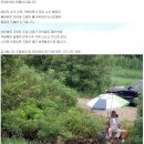 예당저수지 조황안내 2010/08/25 이미지