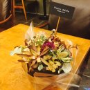 플레르아델 Fleurs adle