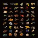 백남준로2 이미지