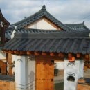 순천만 목향
