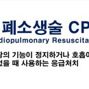 경북대 바른아이 태권도장 이미지