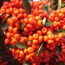 대덕구청 이미지