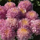 행정사감병기사무소 이미지