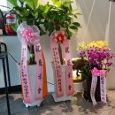 사중금갤러리