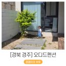 D1 | 32개월 아기와 다녀온 경주 숙소 오디드펜션 D1 후기