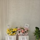 릴리플라워카페
