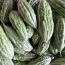 여주-0406 이미지