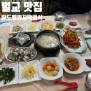 장도웰빙꼬막정식 | 벌교 맛집, 꼬막먹으러 여행감 장도웰빙꼬막정식