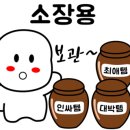 로데오사진관