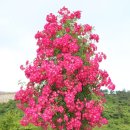 유곡농장 이미지