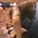 다안배수장 이미지