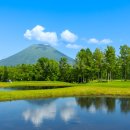 파수골목장2 | 니세코골프 북해도 여행일정 추천 체류형 골프장 3박 후기