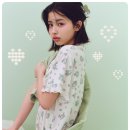 스나이델 카카오 검색결과