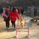 화수중학교 이미지